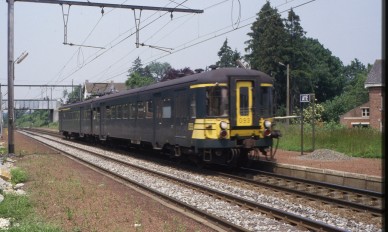 Aye - TH 87-3314.jpg